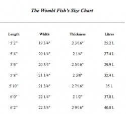 Pukas Wombi Fish 5'8 stock ( USED ) - Afbeelding 2