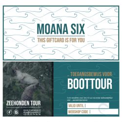 giftcard moana six, giftcard zeehondentour, zeehondentour, zeehonden grevelingenmeer, zeehonden kijken zeeland, brouwershaven,