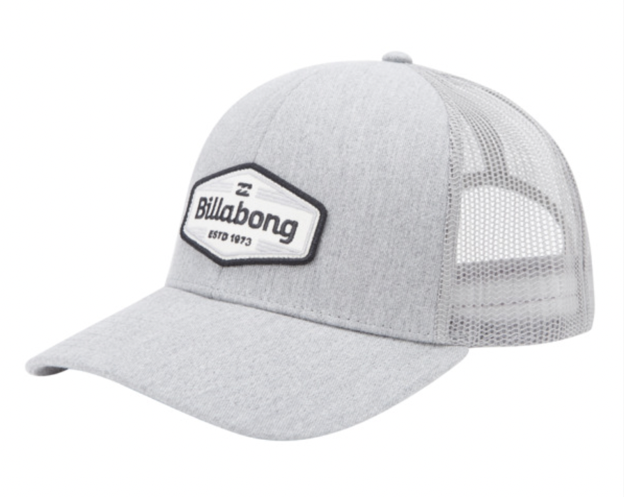 Billabong WALLED TRUCKER grey