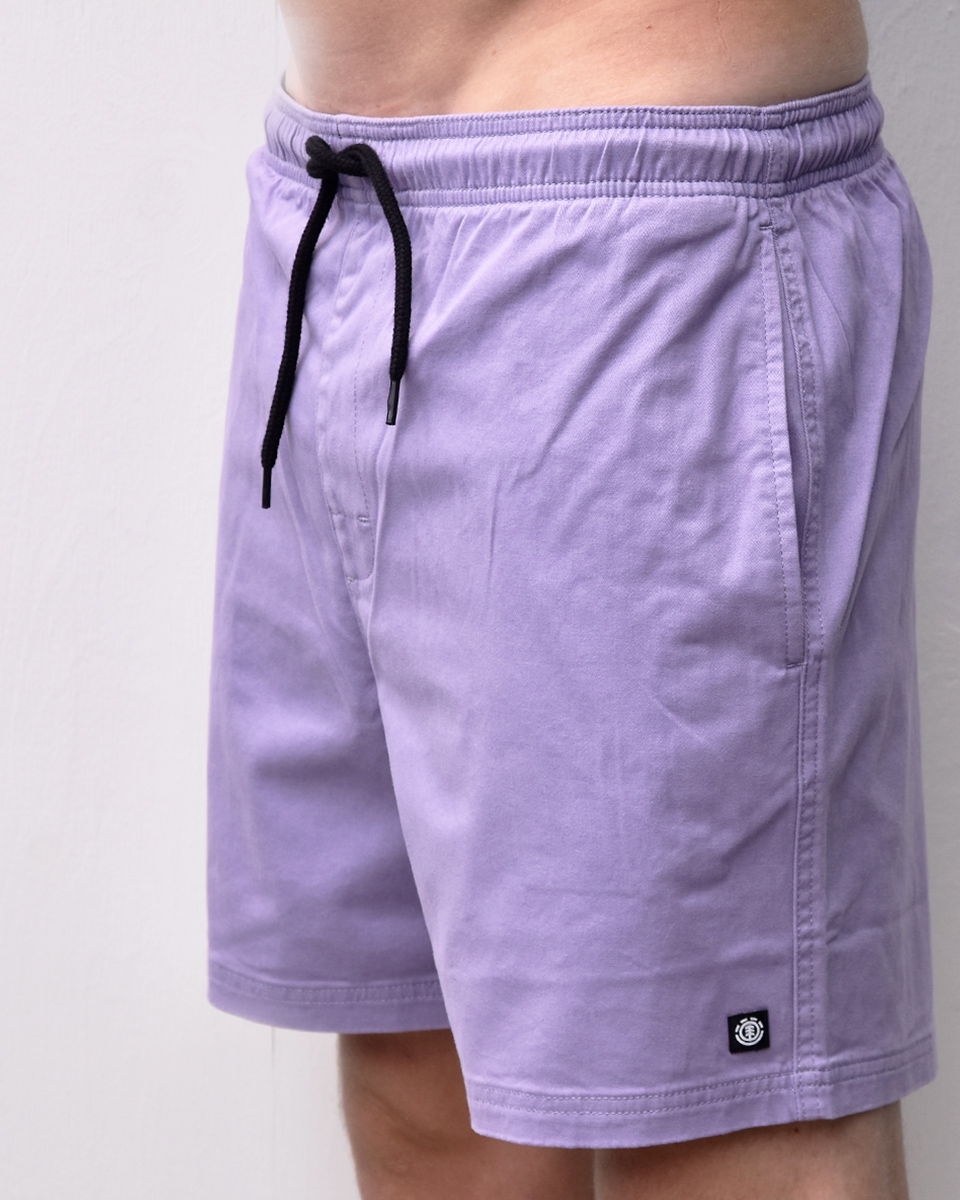 Element valley twill walk short daybreak/purple