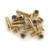 Almost gold bolts / Phillips 1'' / 25MM - Afbeelding 2