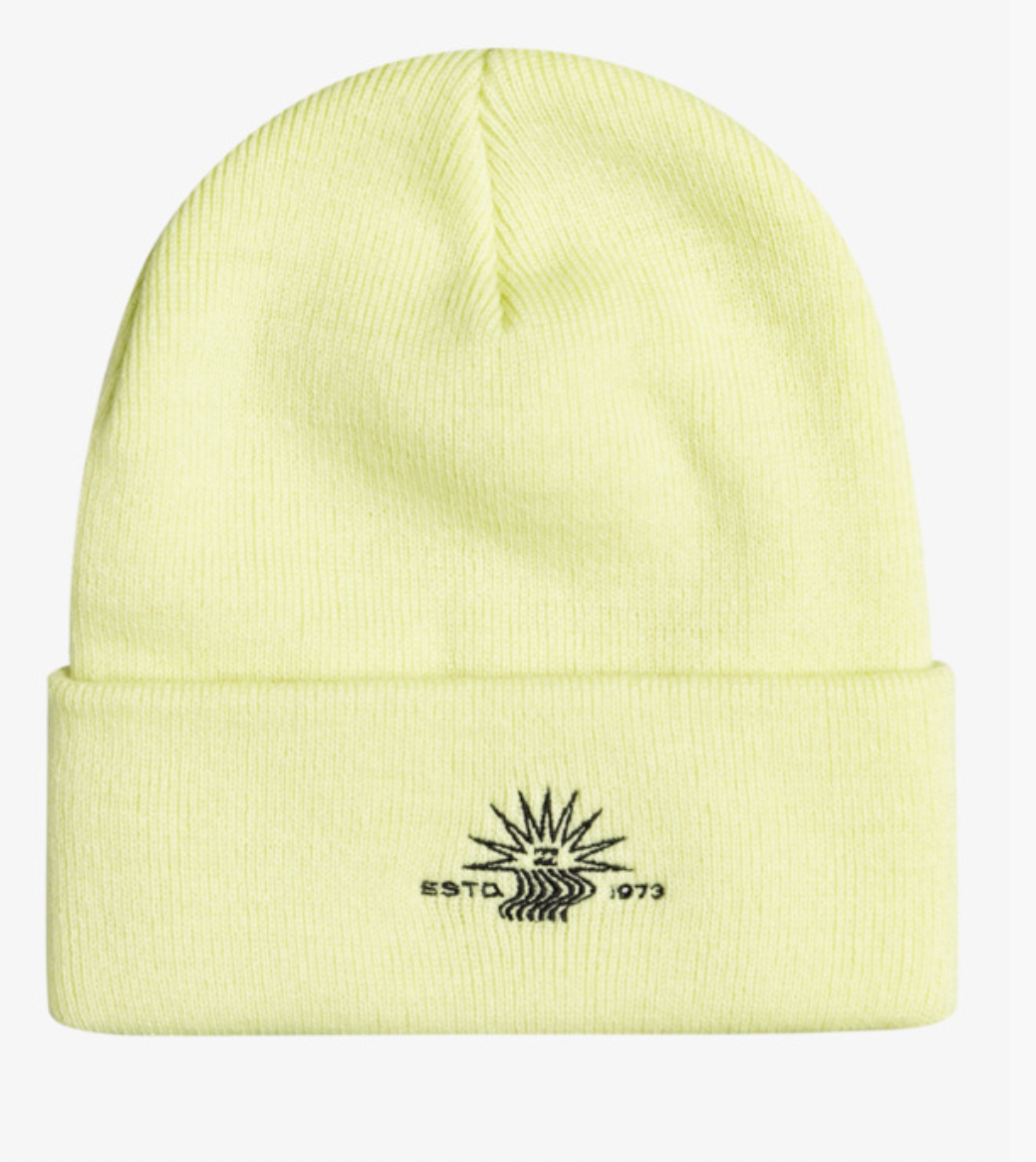 Billabong Theme beanie light green