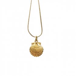 Schelp - oceaan ketting Laguna Treasures (goud of zilver) - Afbeelding 2