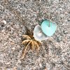 Palmboom - zeeglas ketting Laguna Treasures - Afbeelding 3