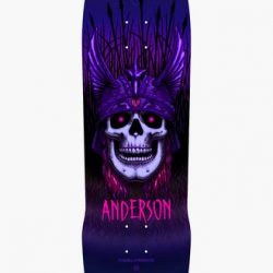 Andy Anderson heron skull 8.45