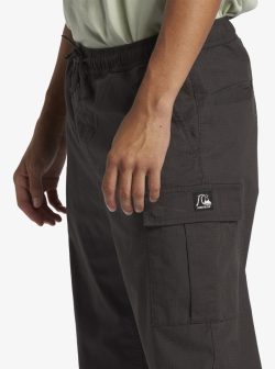 Quiksilver DNA beach cargo pant - Afbeelding 4