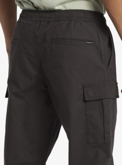 Quiksilver DNA beach cargo pant - Afbeelding 5