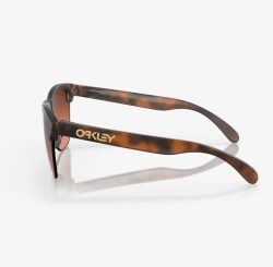 Oakley Frogskin Lite matte brown prizm Brown gradient - Afbeelding 3