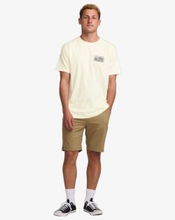 Billabong SCENIC ARCH ADIV SS t-shirt off white - Afbeelding 3