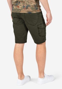 Timezone Regular RykerTZ Short washed leave green - Afbeelding 2