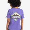 QUIKSILVER STANDARD SS TEE DUSTED PERI - Afbeelding 2