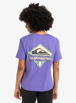 QUIKSILVER STANDARD SS TEE DUSTED PERI - Afbeelding 2