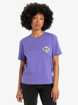 QUIKSILVER STANDARD SS TEE DUSTED PERI - Afbeelding 3