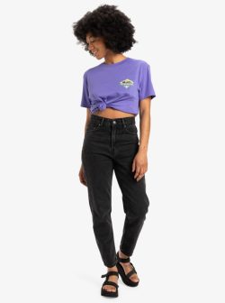 QUIKSILVER STANDARD SS TEE DUSTED PERI