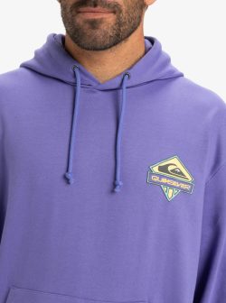 QUIKSILVER APOG HERITAGE HOODIE DUSTED PERI - Afbeelding 3
