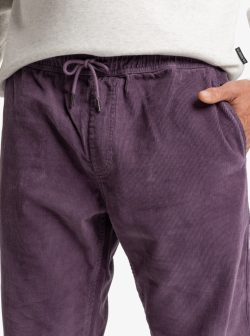 QUIKSILVER TAXER CORD PANT VINTAGE VIOLET - Afbeelding 3