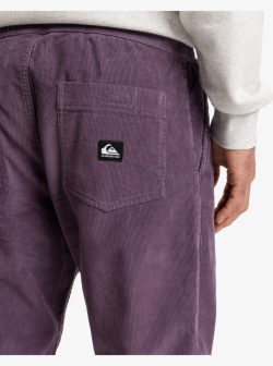 QUIKSILVER TAXER CORD PANT VINTAGE VIOLET - Afbeelding 2