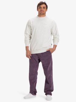 QUIKSILVER TAXER CORD PANT VINTAGE VIOLET - Afbeelding 4