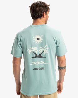 QUIKSILVER EVO ROADS END SS AQUIFER
