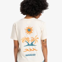 QUIKSILVER STANDARD SS TEE BIRCH