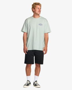 BILLABONG DIAMOND VISION REGULAR SS ASH BLUE - Afbeelding 3