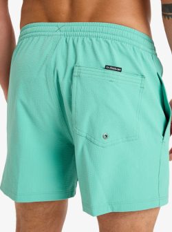 QUIKSILVER EVERYDAY FLEX VOLLEY 15 MALACHITE GREEN - Afbeelding 2