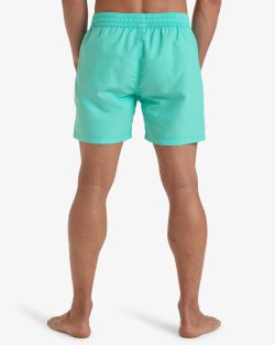BILLABONG ALL DAY LB BERMUDA - Afbeelding 3