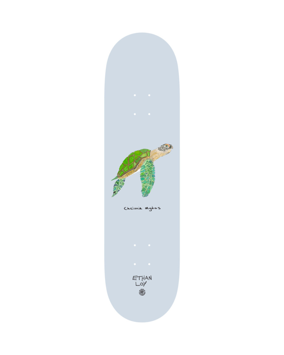 Endangered Ethan Loy – Skateboard Deck
