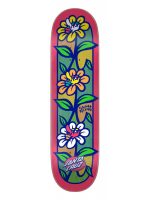 Santa-Cruz Delfino flower vx 8.25
