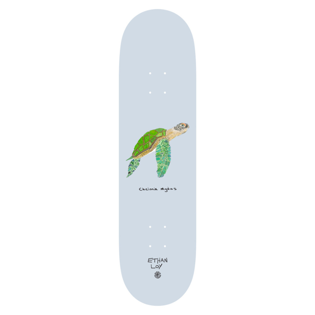 Endangered Ethan Loy – Skateboard Deck