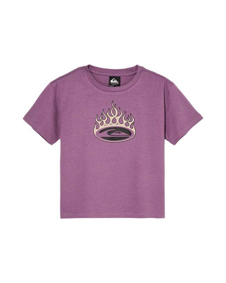 QUIKSILVER TRUCKS SS TEE BOYS GRAPE JAM